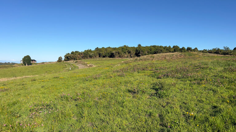 Parcela 19