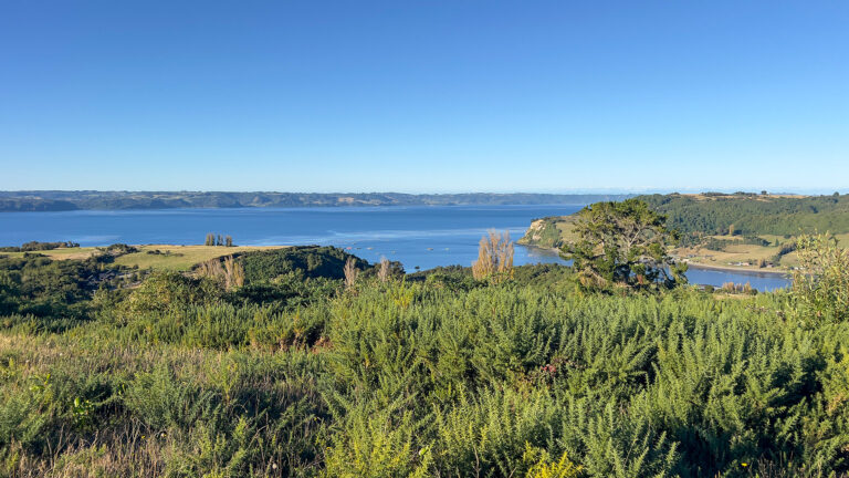 Parcela 05