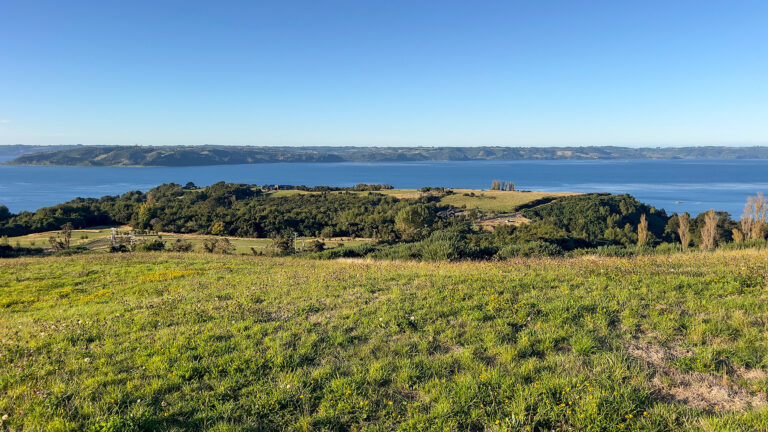 Parcela 04